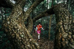 BIB: 
                            <button type="button" onclick="openModal(25393983)" class="btn btn-primary btn-sm float-right btn-popup" data-toggle="modal" data-target=".modal-high-quality">
                        <i class="fas fa-shopping-cart"></i> Add to Cart
                    </button>
                                            <button type="button" onclick="isThisMe(25393983, true)" class="btn btn-success btn-sm float-right btn-popup btn-isme hidden" data-toggle="tooltip" data-placement="bottom" title="นี่คือรูปของคุณใช่ไหม คลิกที่นี่เพื่อเอาเข้าอัลบั้ม">
                        <i class="fas fa-plus"></i> Add to album
                    </button>
                    <button type="button" onclick="isThisMe(25393983, false)" class="btn btn-warning btn-sm float-right btn-popup btn-isnotme hidden">
                        <i class="fas fa-ban"></i> Remove from album
                    </button>